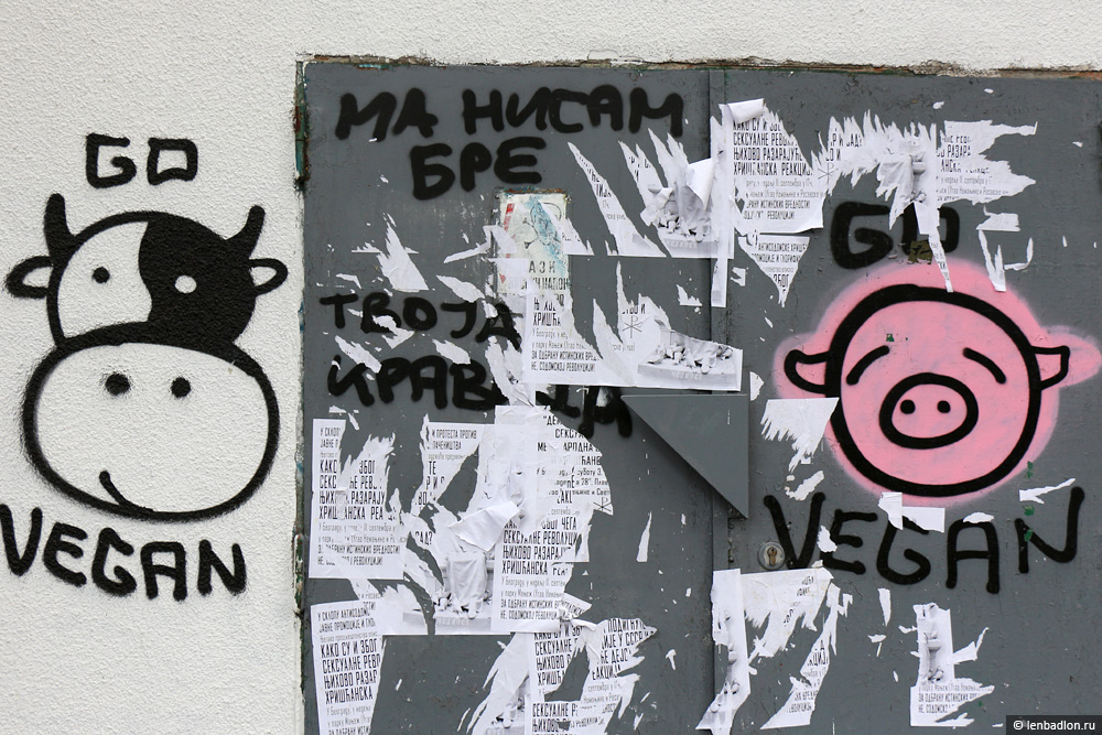 Граффити в Белграде